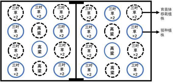 一种丛枝菌根真菌大量扩繁方法与流程