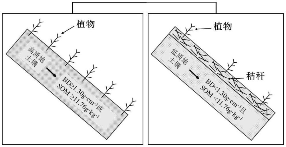 一种防治边坡水土流失的植被精准配置方法