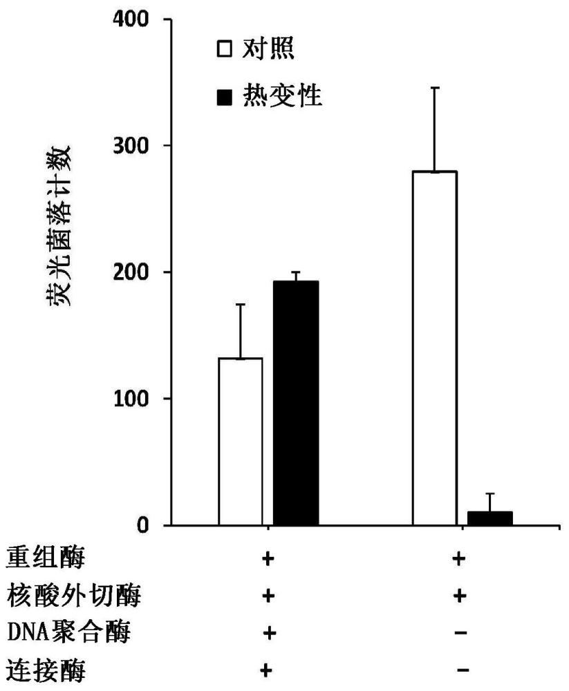 基于重組的DNA組裝方法和組合物與流程