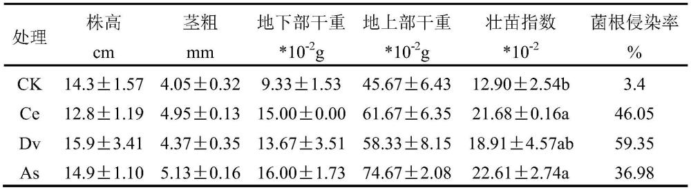 一种复合AMF菌剂及其制备方法和应用