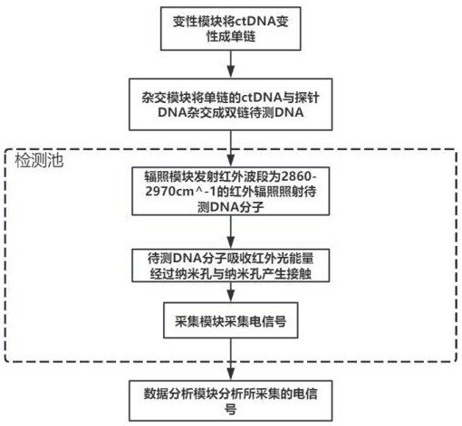 檢測癌癥早期ctDNA甲基化的紅外-納米孔聯用系統