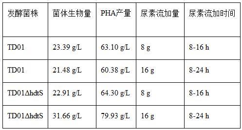 一种工程化微生物及其在微生物细胞或代谢产物生产中的应用的制作方法