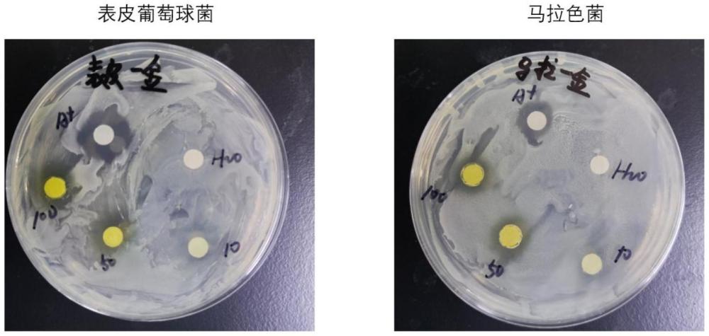 黃酮類化合物及其制備方法和應用與流程