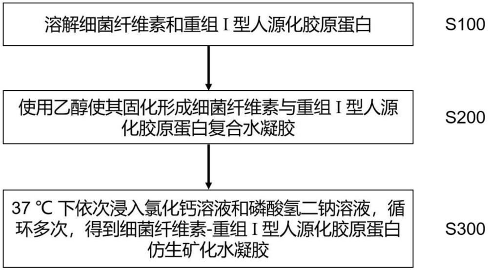 一種用于骨缺損治療的礦化水凝膠及其制備方法和應(yīng)用與流程