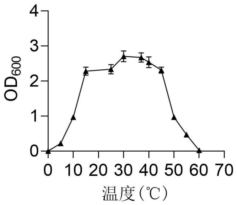 一株耐鹽濟(jì)州桿菌及其應(yīng)用