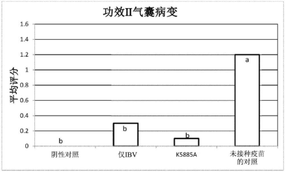 雞滑液囊支原體活疫苗