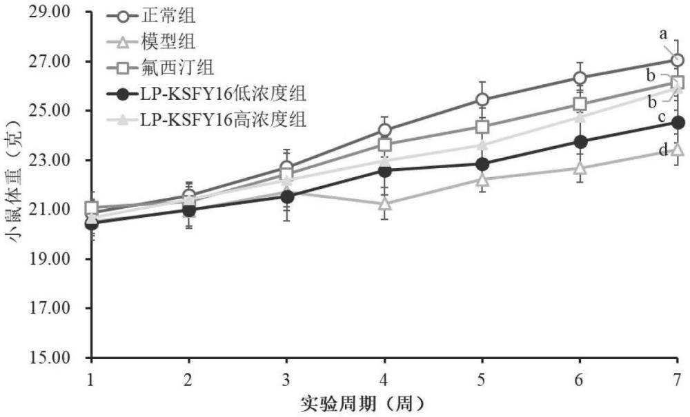 一种植物乳植杆菌KSFY16及其在制备治疗抑郁症药物中的应用