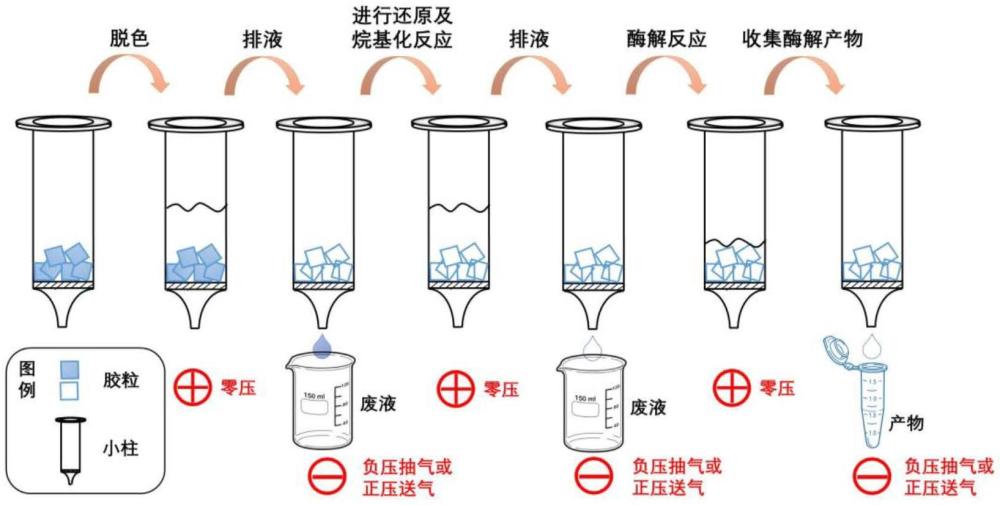 一種基于過(guò)濾原理的膠內(nèi)蛋白酶解前處理方法