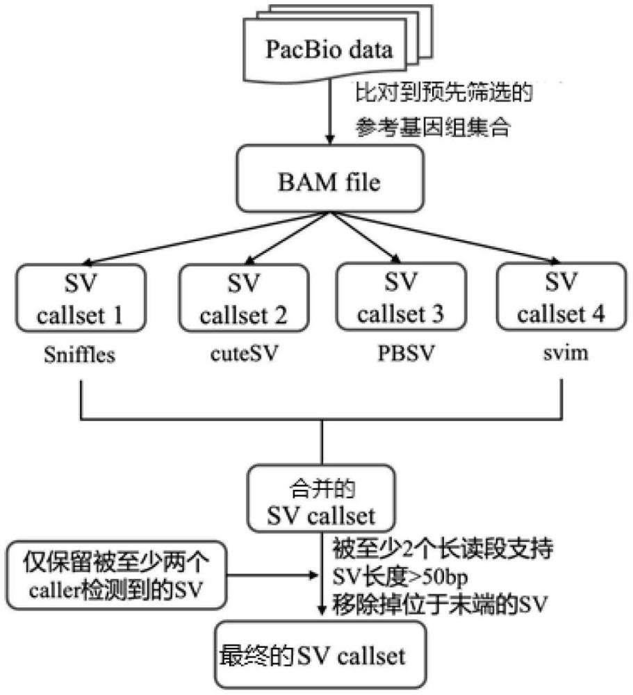 噬菌体结构变异的检测方法