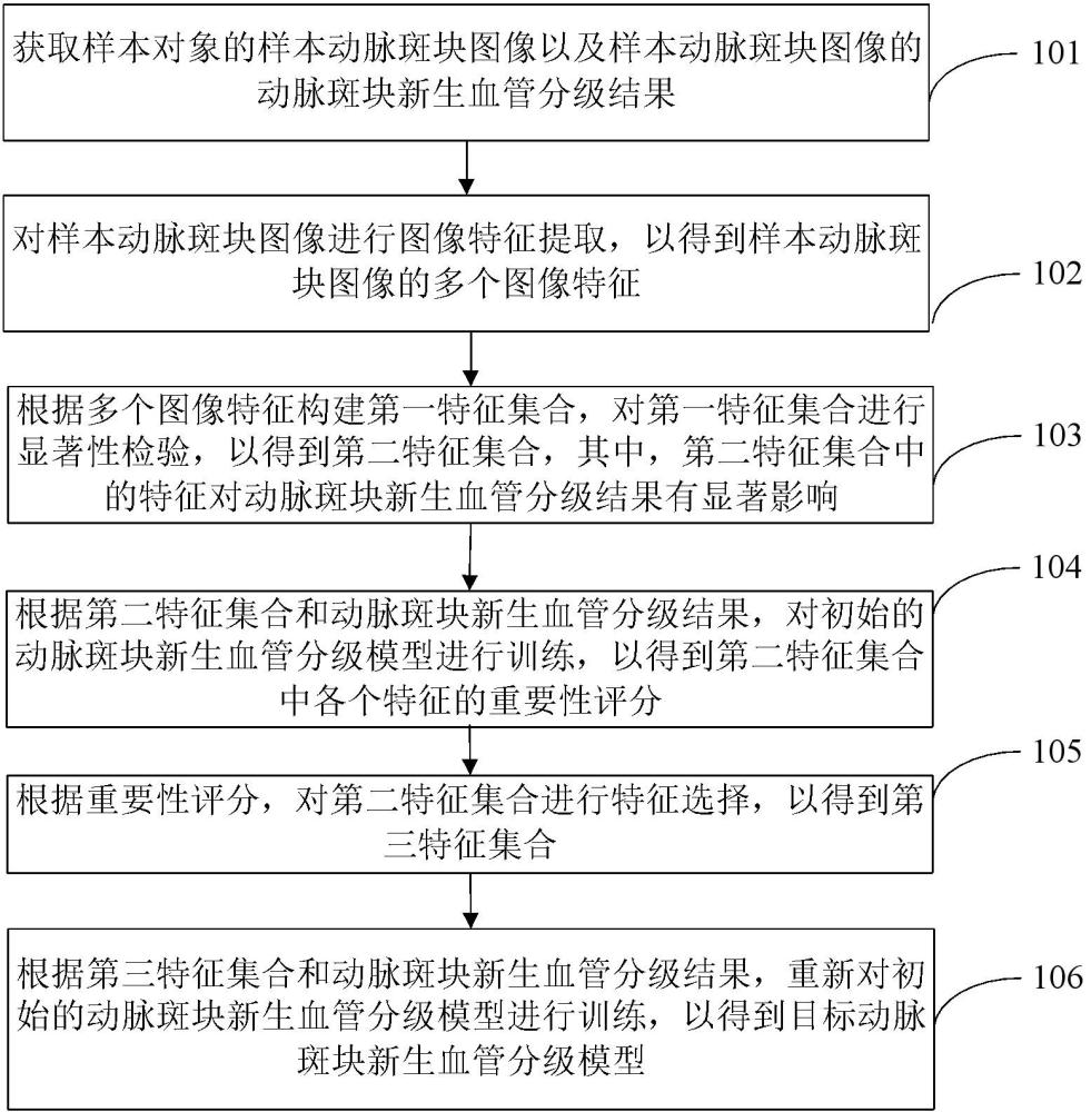 动脉斑块新生血管分级模型的训练方法、分级方法及设备与流程