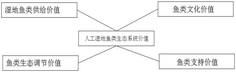 一種人工濕地魚類生態(tài)系統(tǒng)價(jià)值的評(píng)估方法、系統(tǒng)及設(shè)備