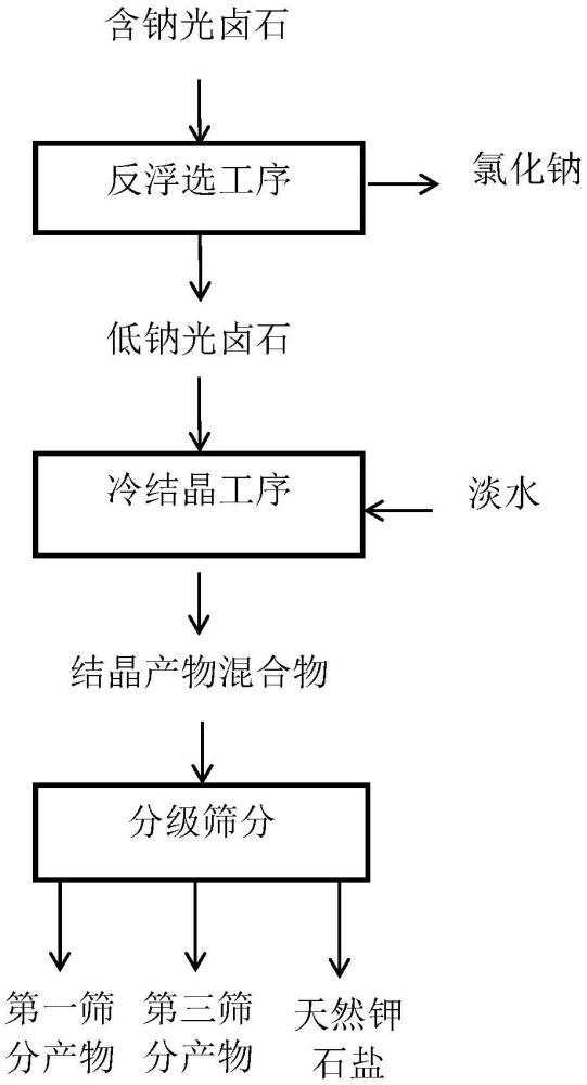 從含鈉光鹵石中分離天然鉀石鹽的方法、天然鉀石鹽和其應(yīng)用與流程