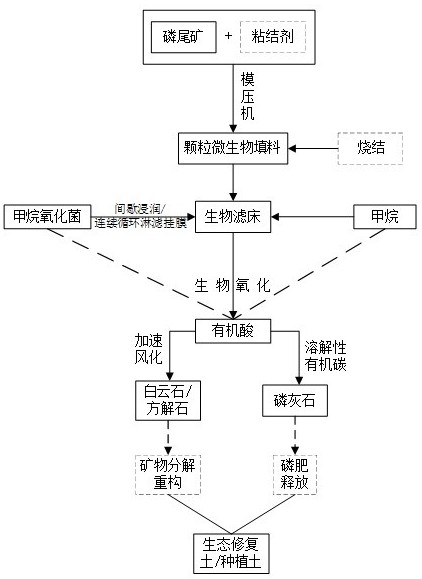 一種瓦斯與磷尾礦協(xié)同風(fēng)化成土的方法