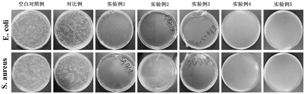 一種無溶劑型雙疏抗菌油墨及其制備方法