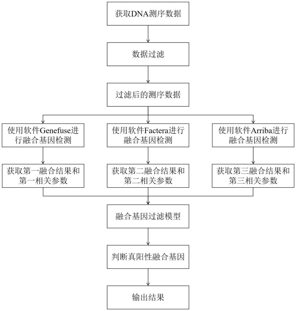 一種基于DNA-based測(cè)序數(shù)據(jù)檢測(cè)融合基因的方法與流程