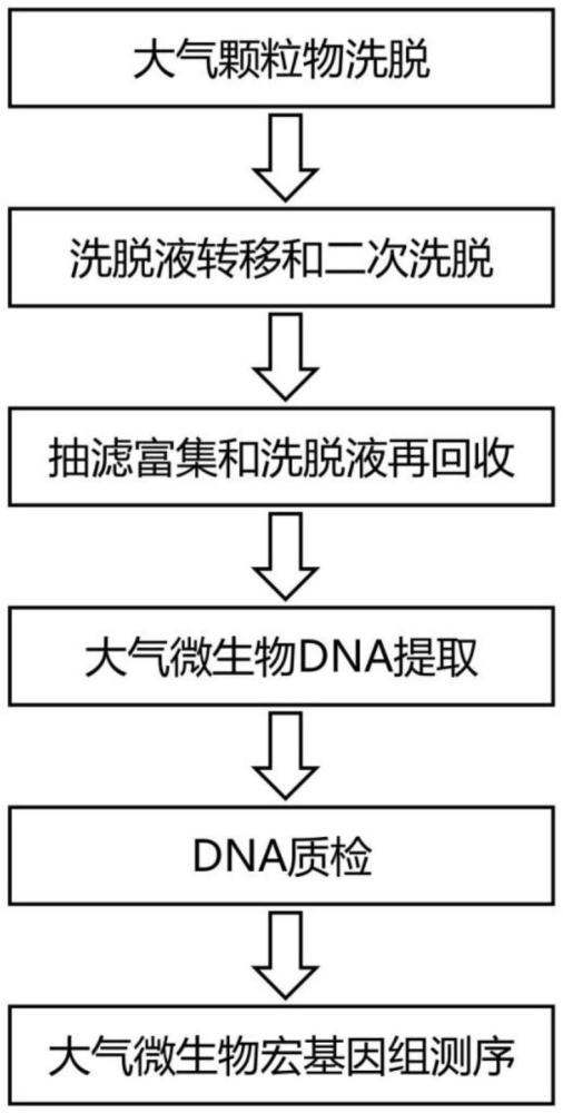 一種大氣環(huán)境微生物基因組DNA提取方法