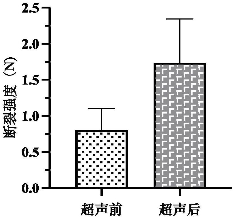 一種強化的固態(tài)血漿基質及其制備方法和應用與流程