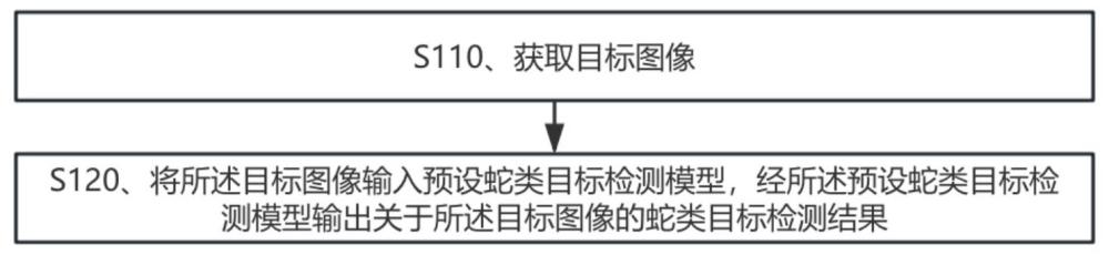 用于檢測圖像中蛇類目標的方法和裝置