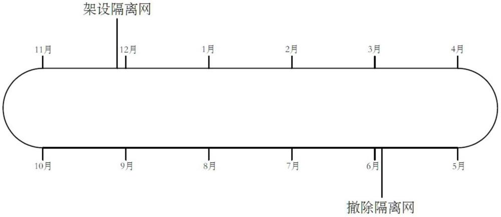 基于可控蝦苗數(shù)量的中華絨螯蟹與克氏原螯蝦混養(yǎng)方法與流程