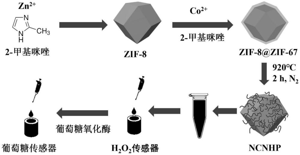 氮摻雜碳納米管空心多面體材料、雙功能電極及其應(yīng)用