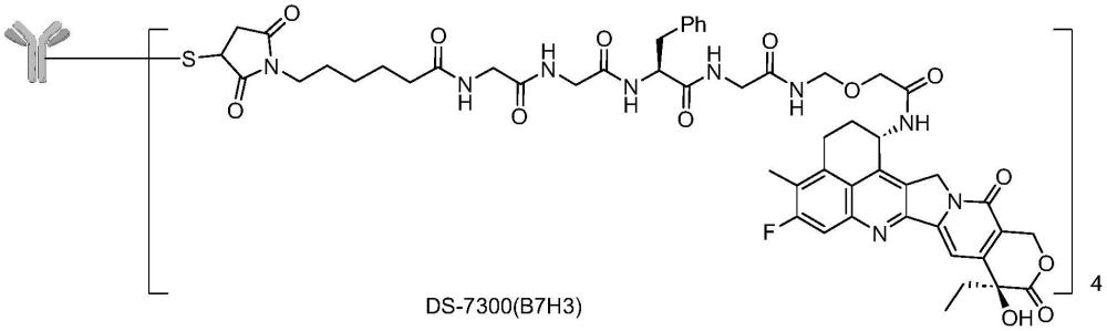 抗B7-H3的抗體或其片段以及靶向B7-H3的抗體藥物偶聯(lián)物的制作方法