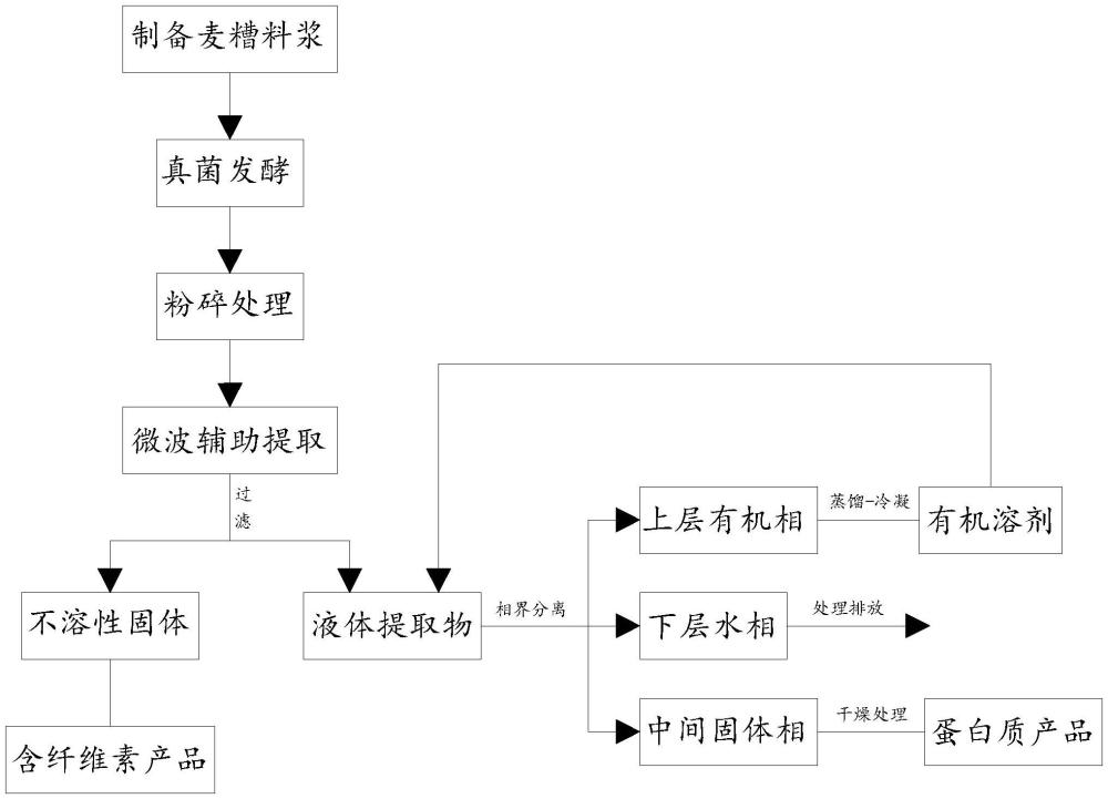 一種用于分離啤酒麥糟中蛋白質(zhì)和纖維素的方法