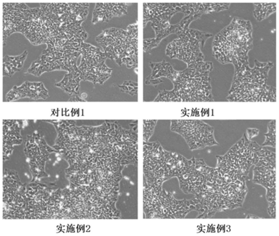 誘導多能干細胞的培養(yǎng)方法、試劑盒和應用與流程