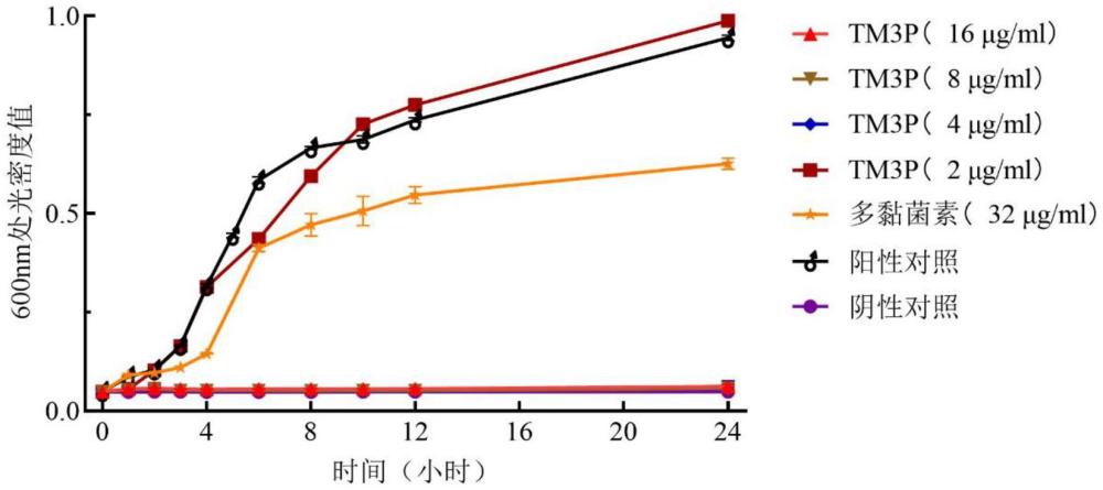 一種氨基胍吲哚衍生物及其制備方法和應(yīng)用