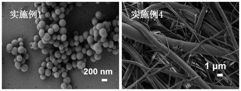 一種高活性熱塑性聚氨酯骨修復(fù)膜及其制備方法、應(yīng)用