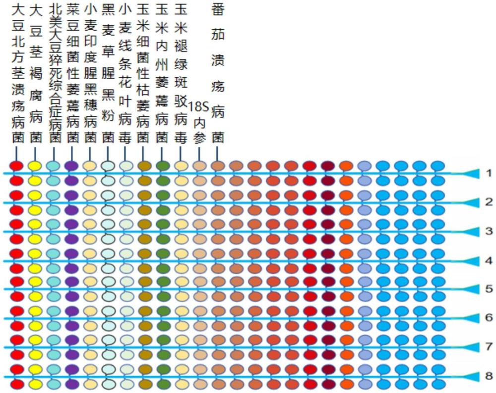 一種用于原糧檢疫性病原物檢測的微流控芯片的制作方法