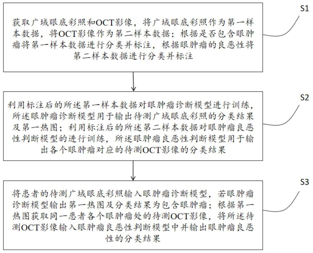 一种眼肿瘤诊断和良恶性判断方法、系统及设备