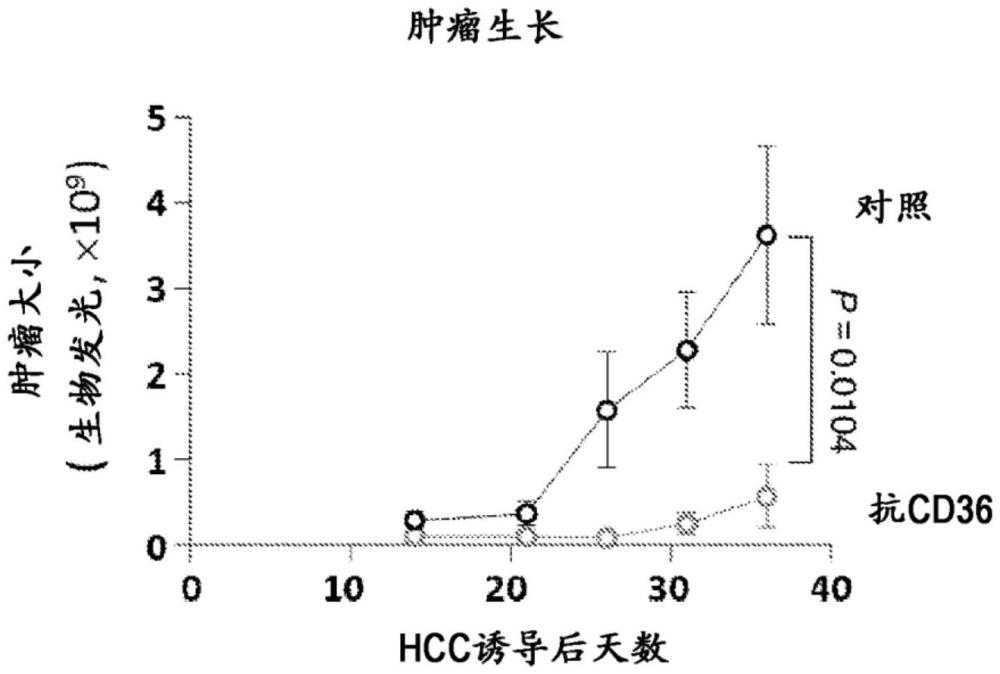 抗CD36抗體及其用途的制作方法