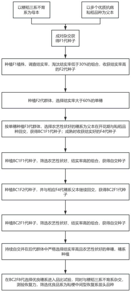 一種快速選育具有粳稻血緣秈稻恢復(fù)系的方法與流程