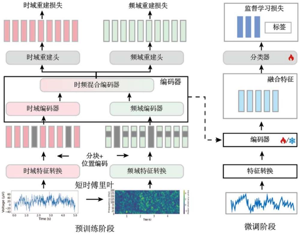 基于時頻重建的生理信號自監(jiān)督表示學(xué)習(xí)方法和系統(tǒng)