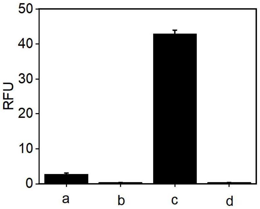 基于CRISPR/Cas12a和邏輯門的甲流和乙流信號分析系統(tǒng)