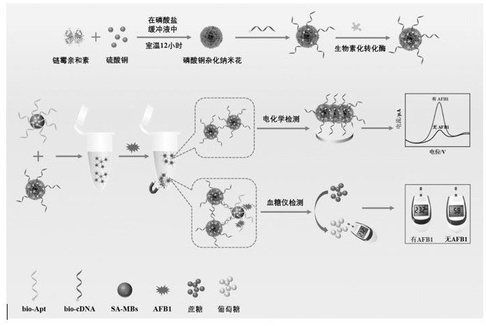 一種基于磷酸銅雜化納米花的電化學(xué)-血糖儀雙模傳感器的構(gòu)建方法