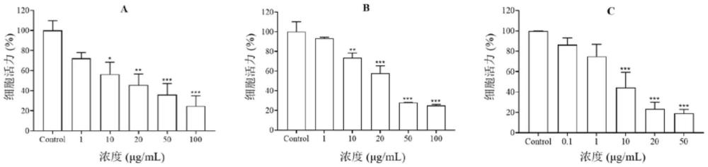 防御假单胞菌FD6 rpoS突变株抗肿瘤发酵产物的制备及其应用