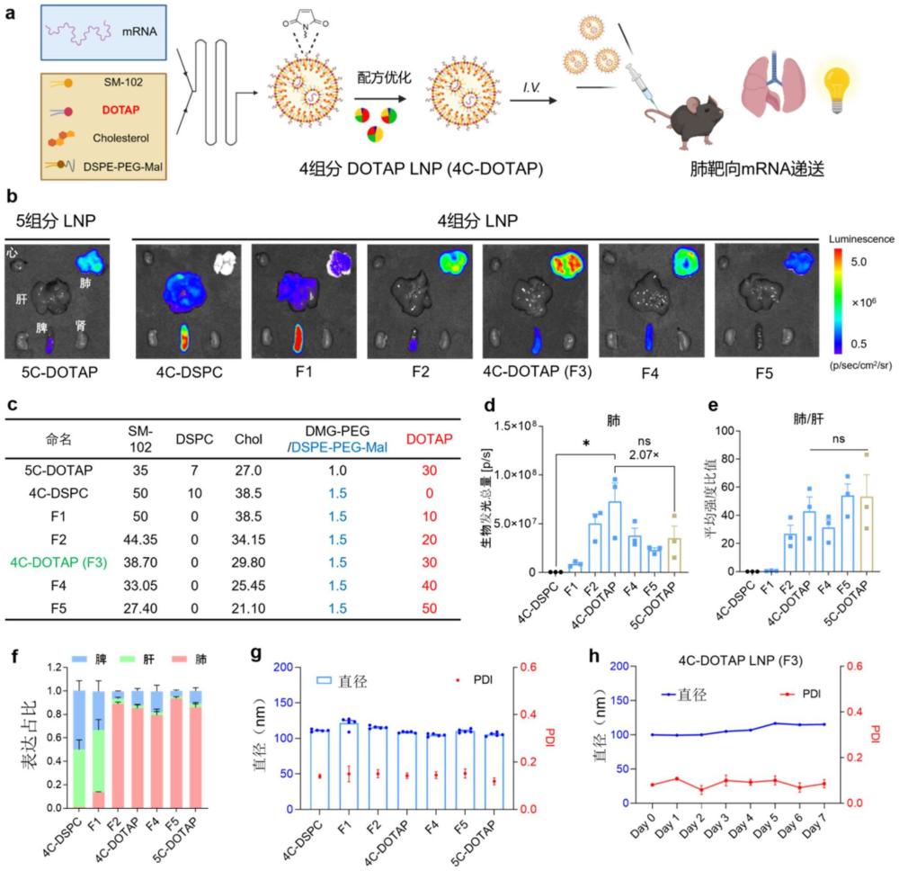 一種增強(qiáng)mRNA-LNP組織靶向遞送的方法