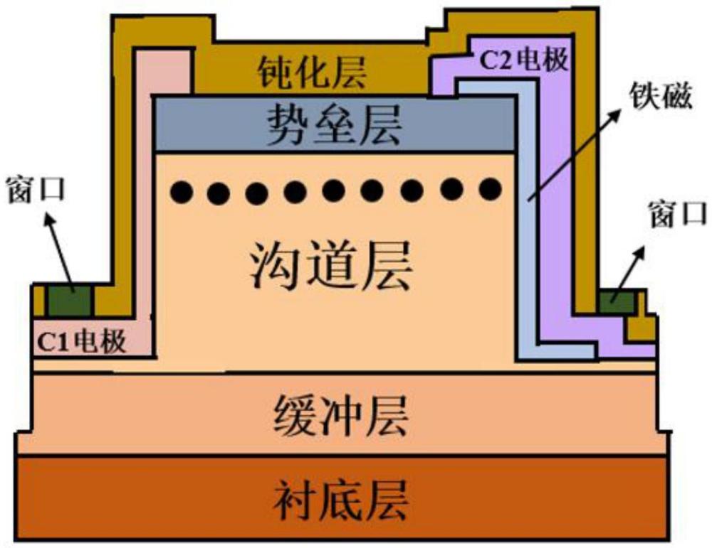 氮化鎵二維電子氣溝道側(cè)壁自旋注入信息器件結(jié)構(gòu)及制備方法