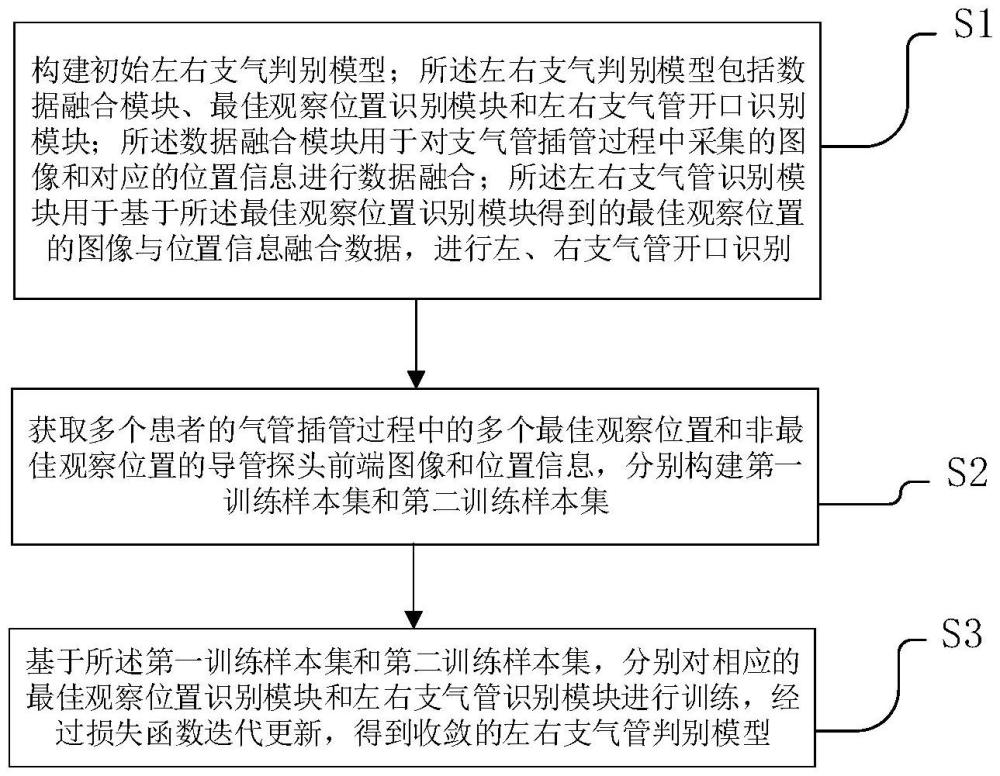 一種左右支氣管判別模型的構建方法