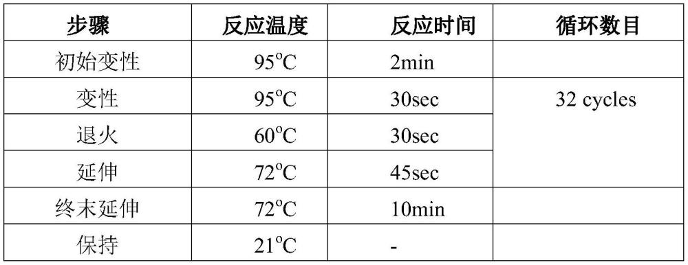 一種高效建立大豆DNA指紋圖譜的方法