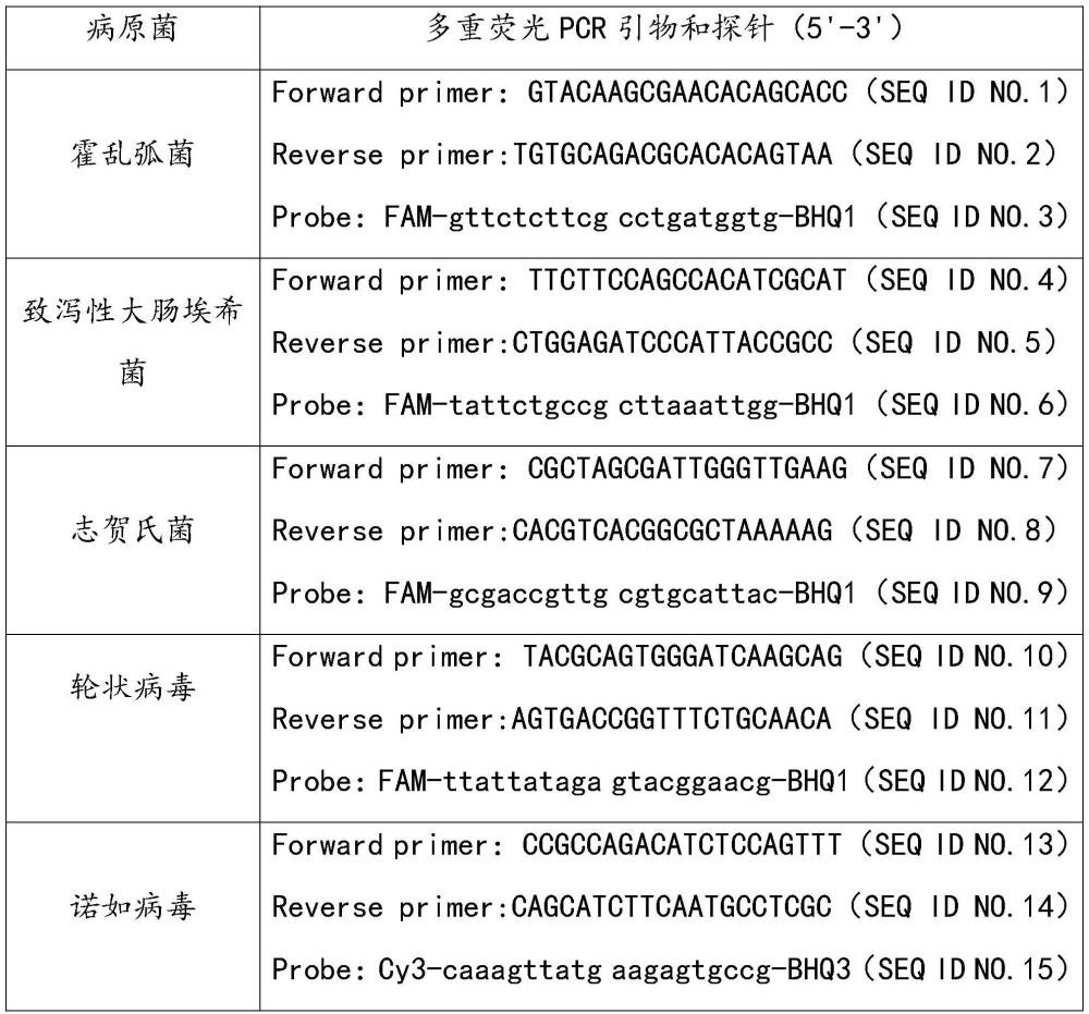 一種腸道感染致病菌快速檢測試劑盒及其制備方法與應(yīng)用與流程