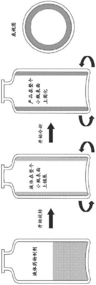 含有核酸的組合物的連續(xù)旋轉(zhuǎn)冷凍干燥的制作方法