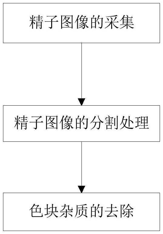 一種人類精子圖像色塊雜質(zhì)去除的方法和裝置與流程