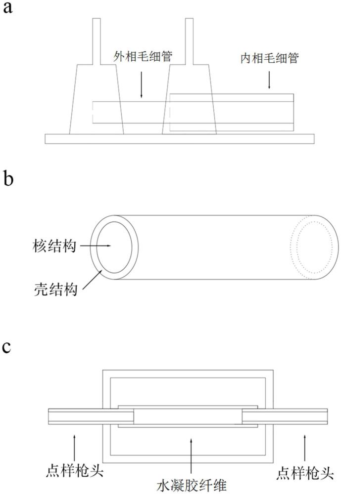 一種基于微流控核殼纖維的動態(tài)灌流血管芯片及其制備方法