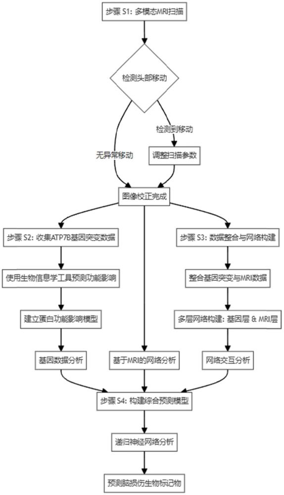 一種基于多模態(tài)MRI和基因分析的Wilson病腦損傷預(yù)測(cè)方法與流程