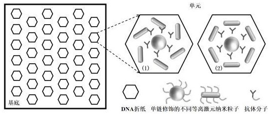 一種基于等離激元表面晶格共振的DNA折紙微陣列生物芯片的制作方法