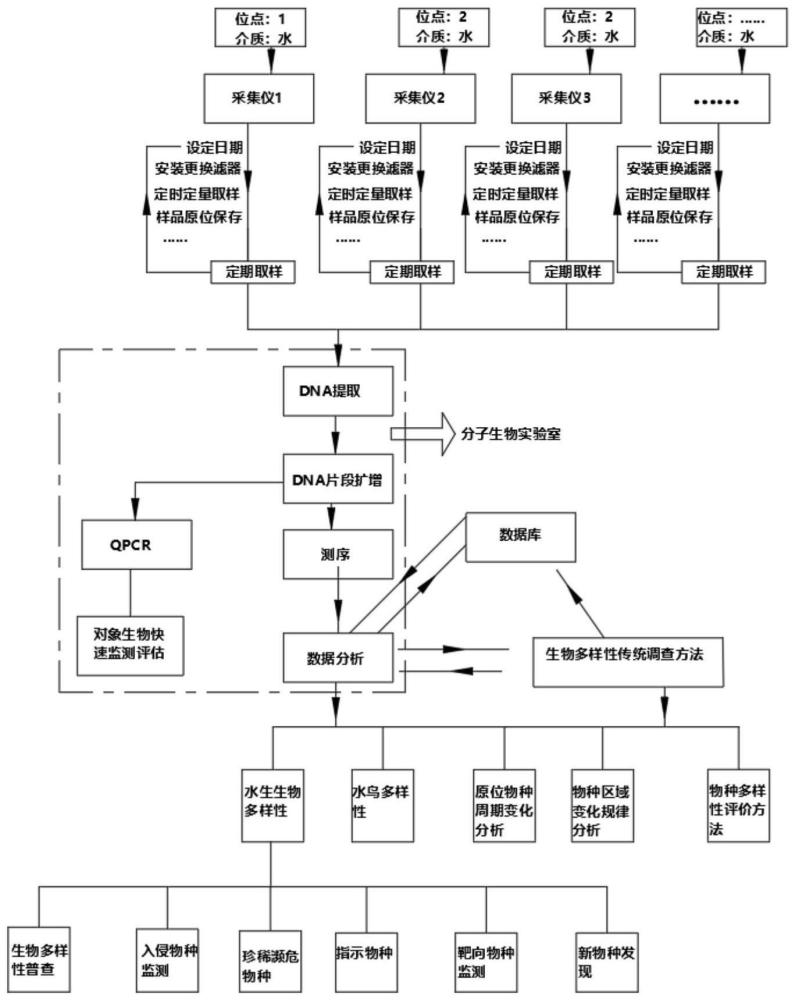 一種eDNA采集分析系統(tǒng)及生物多樣性監(jiān)測方法與流程