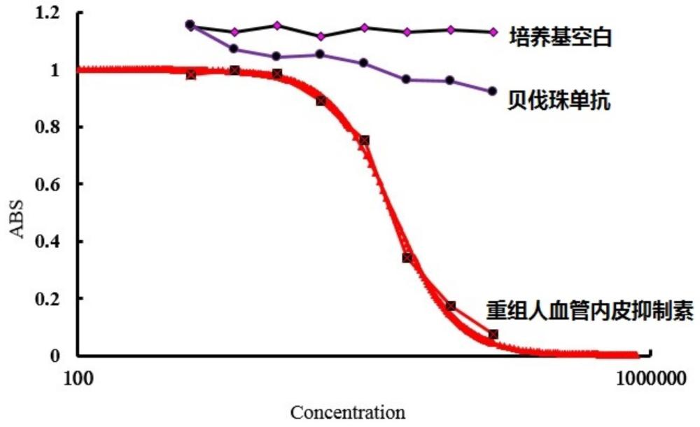 一種測定重組人血管內(nèi)皮抑制素生物學(xué)活性的方法與流程