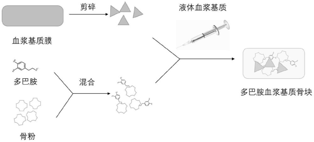 多巴胺改性的血漿基質(zhì)、血漿基質(zhì)骨塊及其制備方法與流程